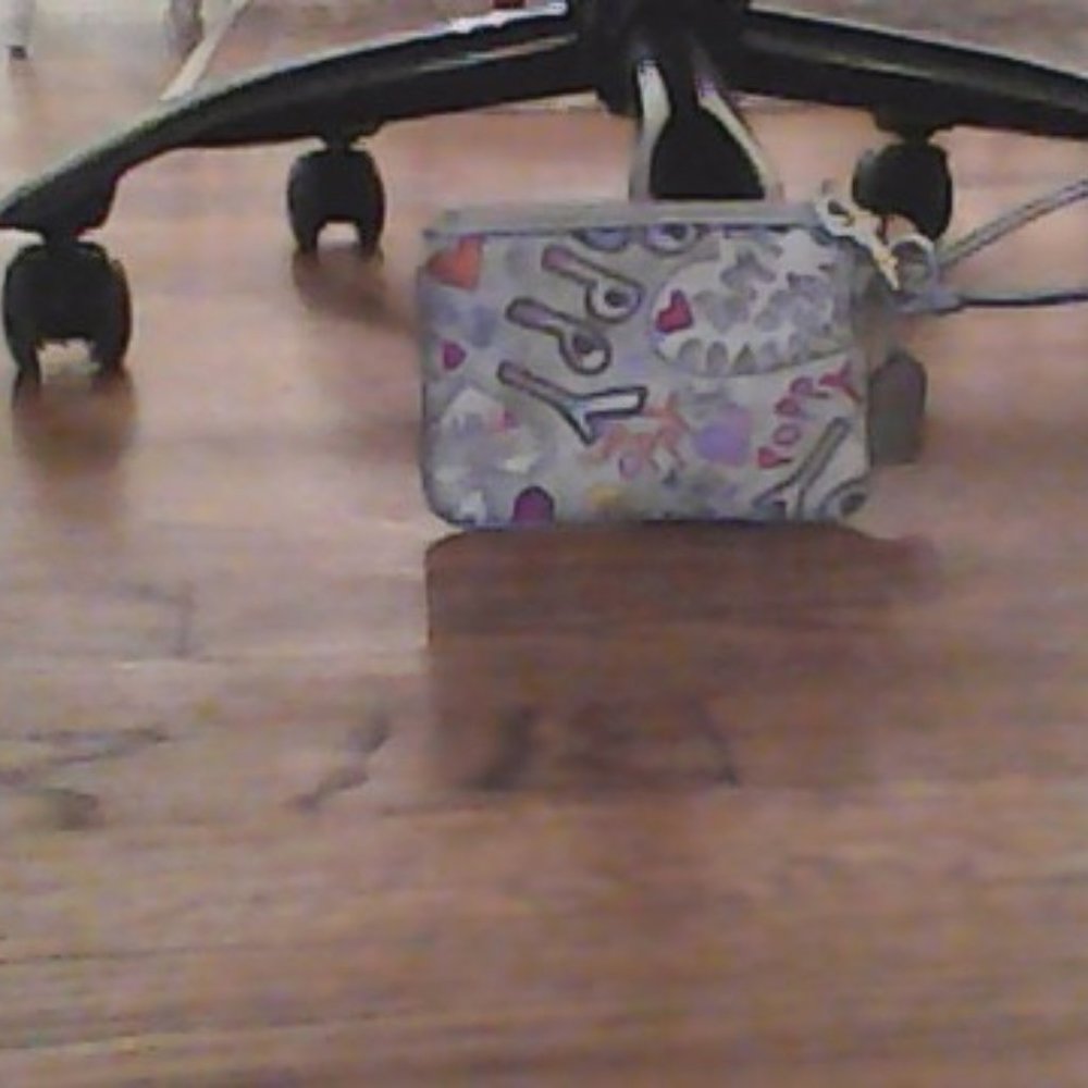 purse